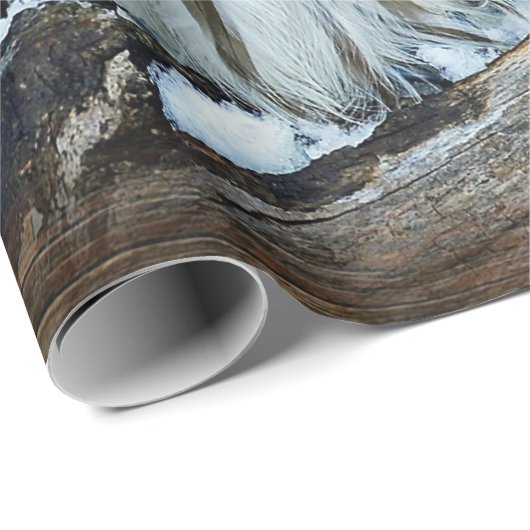 Ochse Geschenkpapier (Rolleneckpunkt)