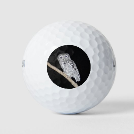 Ochse Golfball (Vorderseite)