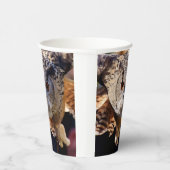 Ochse Pappbecher (Rechts)