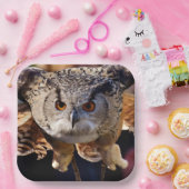 Ochse Pappteller (Party)