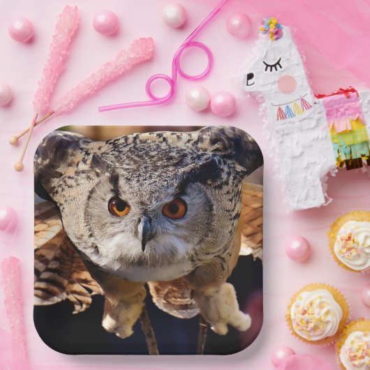 Ochse Pappteller (Party)