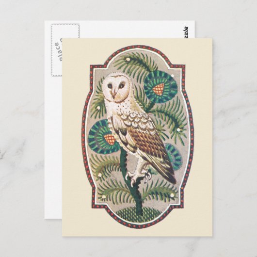 Ochse Postkarte (Vorne/Hinten)