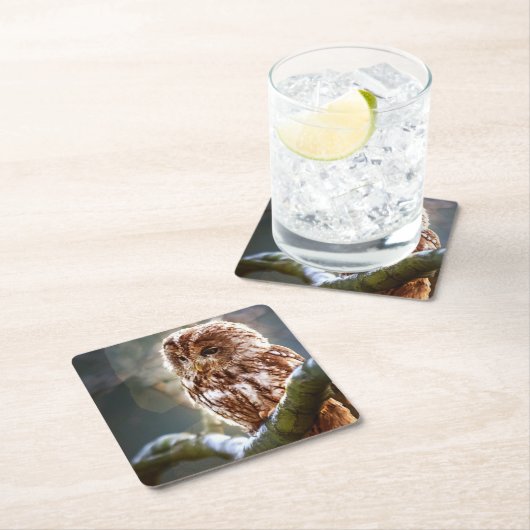 Ochse Rechteckiger Pappuntersetzer (Vor Ort)