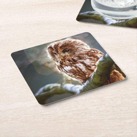 Ochse Rechteckiger Pappuntersetzer (angewinkelt)