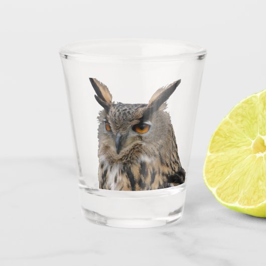 Ochse Schnapsglas (Vorderseite)