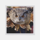 Ochse Serviette (Vorderseite)