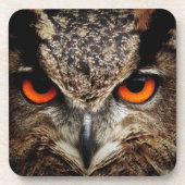 Ochse Untersetzer (Vorderseite)