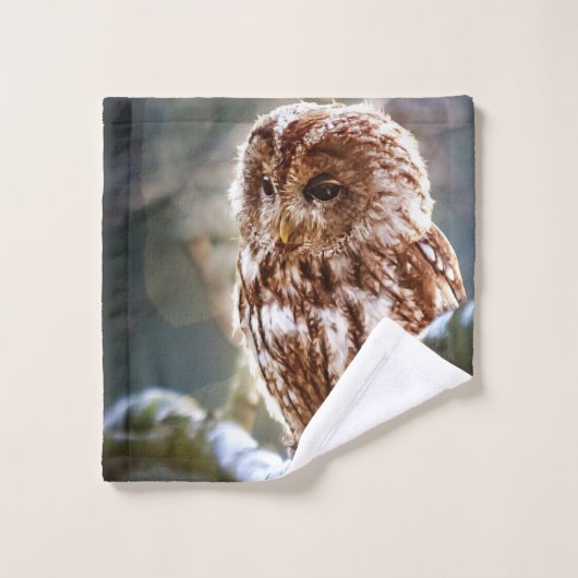 Ochse Waschlappen (Waschlappen)