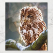 Ochse Weinetikett (Einzelnes Label)