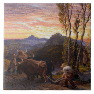 Ochsen, die am Sonnenuntergang pflügen (w/c auf Fliese