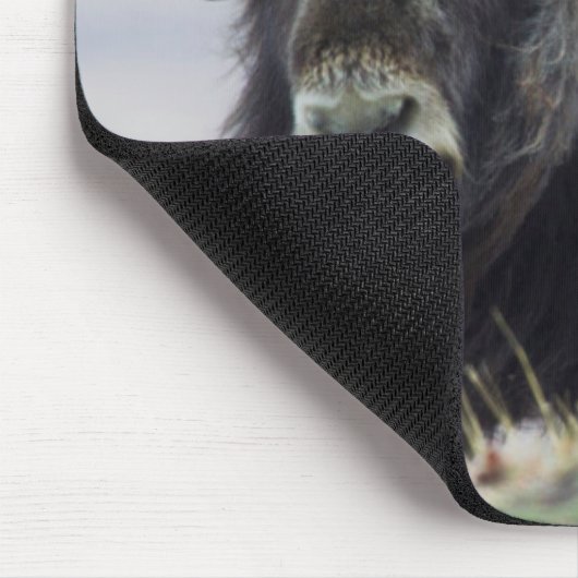 Ochsen mit Kalb Mousepad (Ecke)