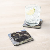 Ochsen mit Kalb Untersetzer (Rechte Seite)