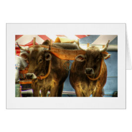 Ochsen-Team am Sandwich angemessen: Karte
