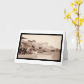 Ochsen-Teams an Sturgis Dakota Gebiet Sd 1887 Karte (Gelbe Blume)