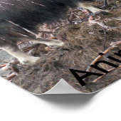 Ochsen von Muskeln aus Alaska-Poster Poster (Ecke)