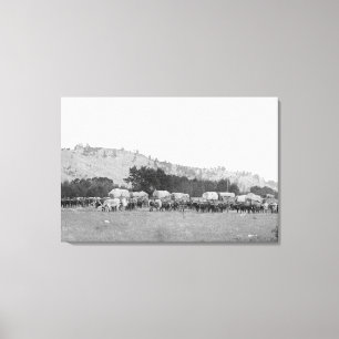 Ochsen-Züge zwischen Sturgis und Ballast Photogra Leinwanddruck