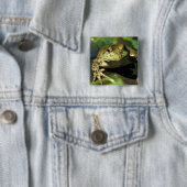 Ochsenfrosch. Button (Beispiel)