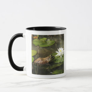 Ochsenfrosch im Lilien-Teich Tasse
