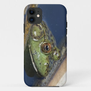 Ochsenfrosch iPhone Fall Case-Mate iPhone Hülle