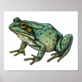 Ochsenfrosch poster