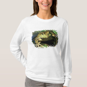 Ochsenfrosch. T-Shirt