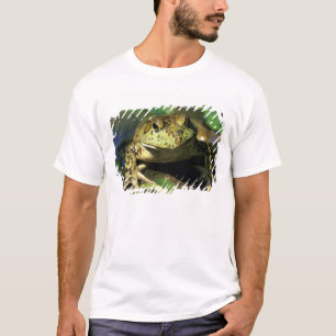 Ochsenfrosch. T-Shirt