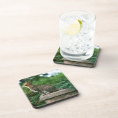 Ocicat 2 getränkeuntersetzer (Rechte Seite)