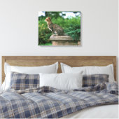 Ocicat 2 leinwanddruck (Insitu (Schlafzimmer))