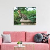 Ocicat 2 leinwanddruck (Insitu (Wohnzimmer))
