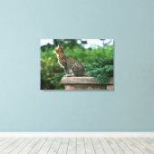 Ocicat 2 leinwanddruck (Insitu (Holzboden))