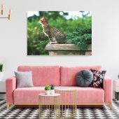 Ocicat 2 leinwanddruck (Insitu (Wohnzimmer))
