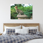 Ocicat 2 leinwanddruck (Insitu (Schlafzimmer))