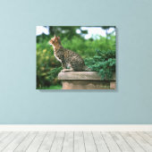 Ocicat 2 leinwanddruck (Insitu (Holzboden))