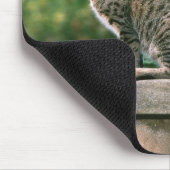 Ocicat 2 mousepad (Ecke)