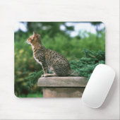 Ocicat 2 mousepad (Mit Mouse)