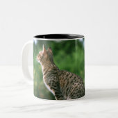 Ocicat 2 zweifarbige tasse (Vorderseite Links)
