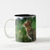 Ocicat 2 zweifarbige tasse (Links)