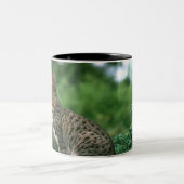 Ocicat 2 zweifarbige tasse (Mittel)