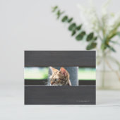 Ocicat 4 postkarte (Stehend Vorderseite)