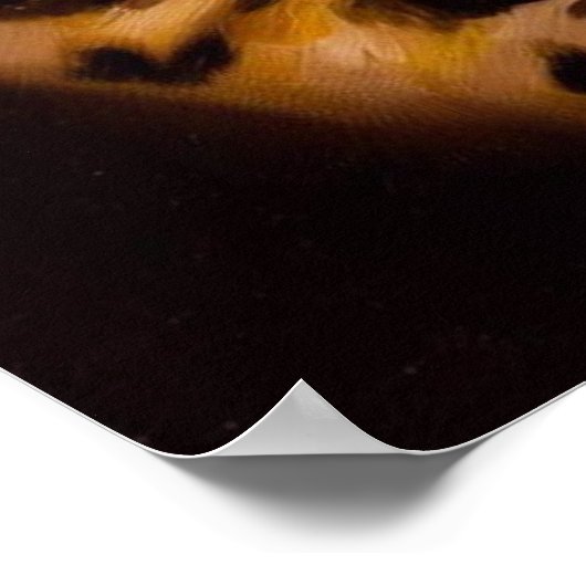 Ocicat Cat Poster (Ecke)