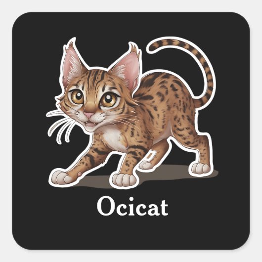 Ocicat Quadratischer Aufkleber (Vorderseite)