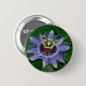 Ocoee Blume Passiflora caerulea Passion Blume Button (Vorne & Hinten)