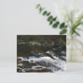 Ocoee River, Tennessee Postkarte (Stehend Vorderseite)