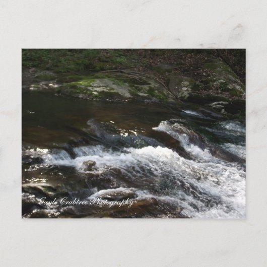 Ocoee River, Tennessee Postkarte (Vorderseite)