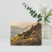 Oconaluftee Valley Aussicht | North Carolina Postkarte (Stehend Vorderseite)