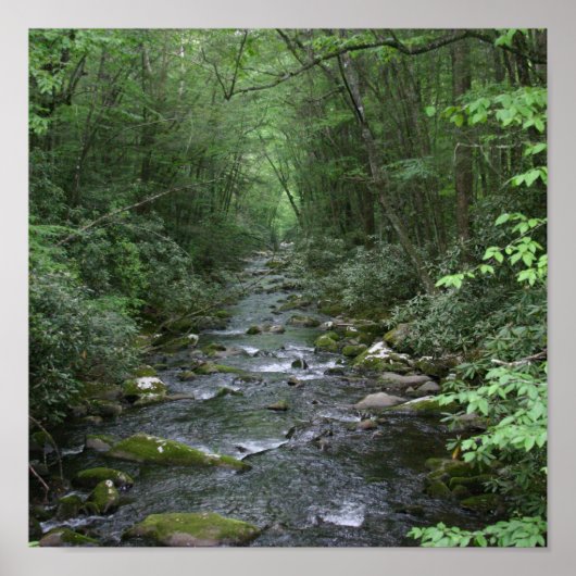 Oconuluftee River View Poster (Vorne)