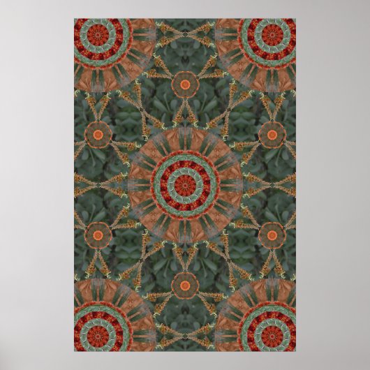 Ocotillo Array 1 Poster (Vorne)