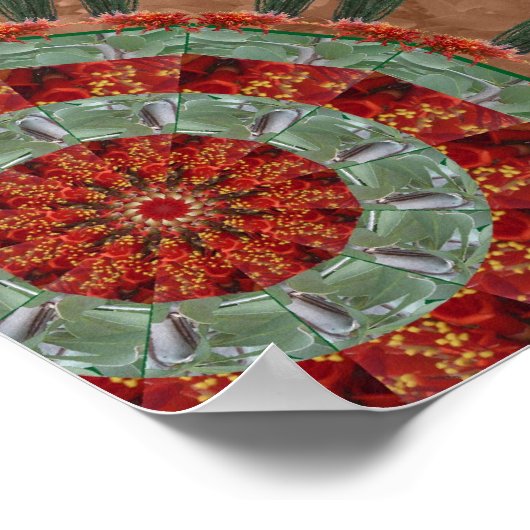 Ocotillo Array 1 Poster (Ecke)