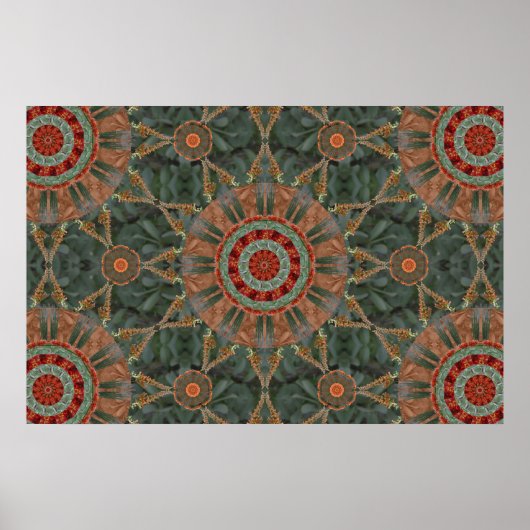 Ocotillo Array 1 Poster (Vorne)