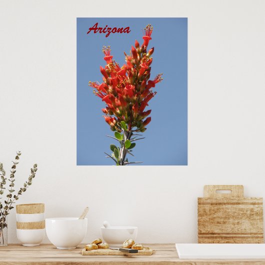 Ocotillo Bloom - Arizona Poster (Küche)
